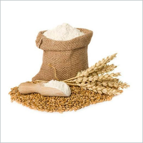 Pure high protein Wheat flour hydrolyzed Wheat protein