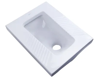 Evolution and development of squatting potty