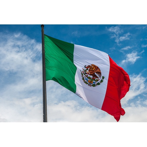 Stock 3X5ft Polyester National Country Mexico Flag