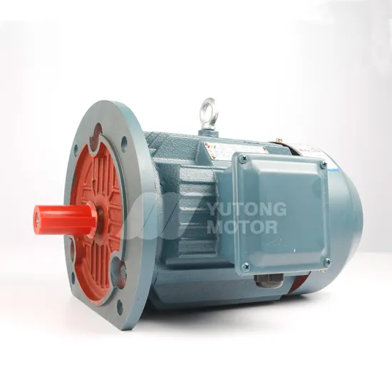 Price List for Three Phase 100W to 3700W Electric Helical Small AC Induction Asynchronous Motors