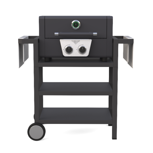 2 Gas Gas Grill BBQ với xe đẩy có thể tháo rời