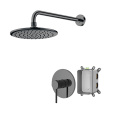 shower faucet system Brushed Nickel Shower Head Sets Factory