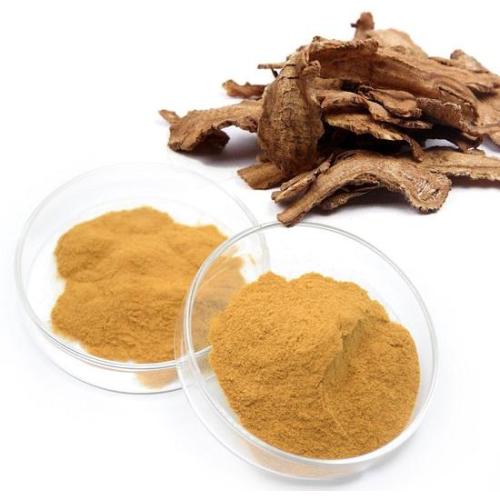 Chinese Angelica Root Extract Powder