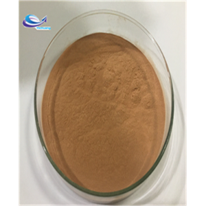 High quality olive leaf oleuropein olive leaf extract