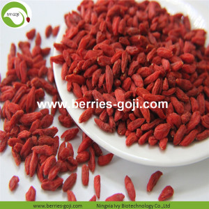 Factory Supply Fruits In Bulk Package Goji Berry