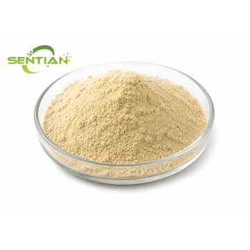 Organic Cider Vinegar Powder for Wellness