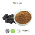 Rehmannia Root Extract Powder