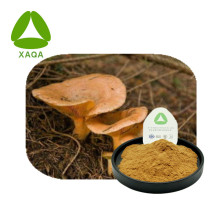 Phellinus Linteus Mushroom Extract Polysaccharides Powder