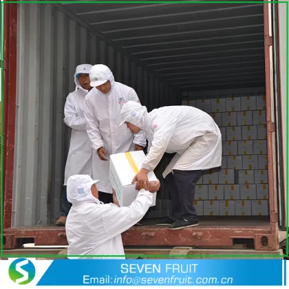 Grade A Walnut Kernels/Walnut Without Shell With High Protein18mm-24mm