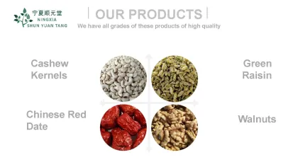 BulK Cheap Discount Chinese Red Dates