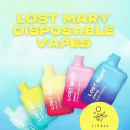 Elf Lost Mary 600 Puffs Hot Sale