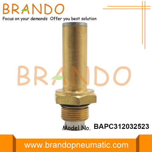 LPG CNG Brass Armature Thread Stem and Plunger