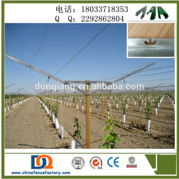 Chile Market Vine Open Gable Trellis Post