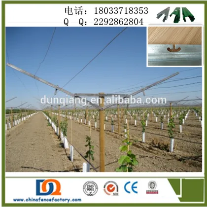 Grape manor 1460mm Length galvanized vineyard gable trellis