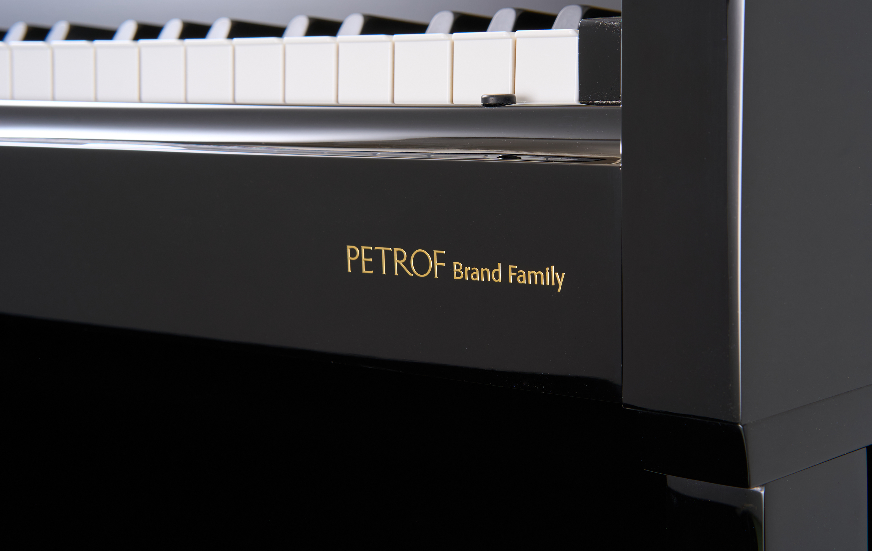 Petrof · Scholze S123 Piano Tegak Piano Black Professional Playing 123cm European Diproduksi Piano Oleh Petrof