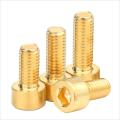 Brass Hexagon Socket Cap Head Bolts