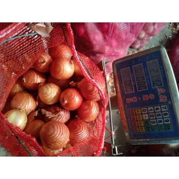 China Factory Supply 100% Fresh Red Onion Yellow Onion New Crop with Mesh  Bags - China 2020 Crop Red Yellow Onion, Red Onion Yellow Onion Supplier