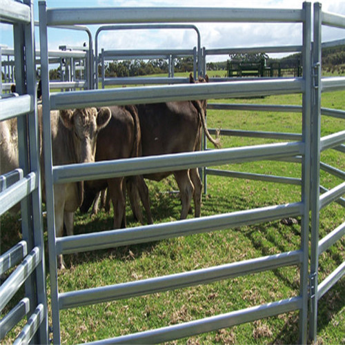 Steel Corral Fence