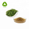 Lophatherum Herb Extract 40% Flavonoids Powder