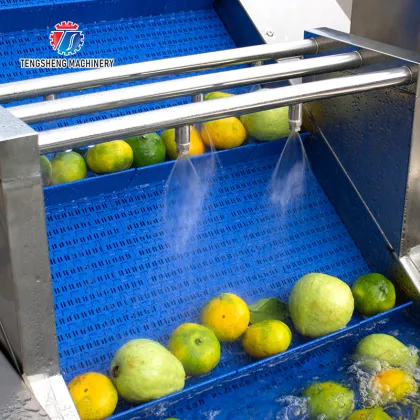 Commercial Vegetable and Fruit Washing Machine