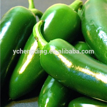 Search products Jalapeno peppers buy wholesale from china                        
                                                Quality Choice