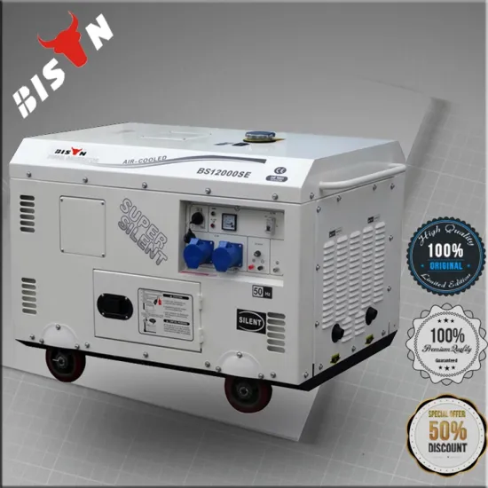 BISON China 10kva Hot Sale Silent Eletric Portable Generator