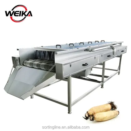 Commercial Brush Vegetable Cleaning Machine for Lotus Root Washing