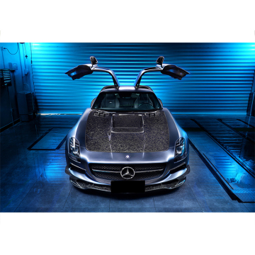 DarwinPRO BS HOOD BONNET for Mercedes W197 R197 SLS Class