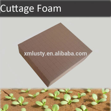 Growing medium foam, Nursery foam