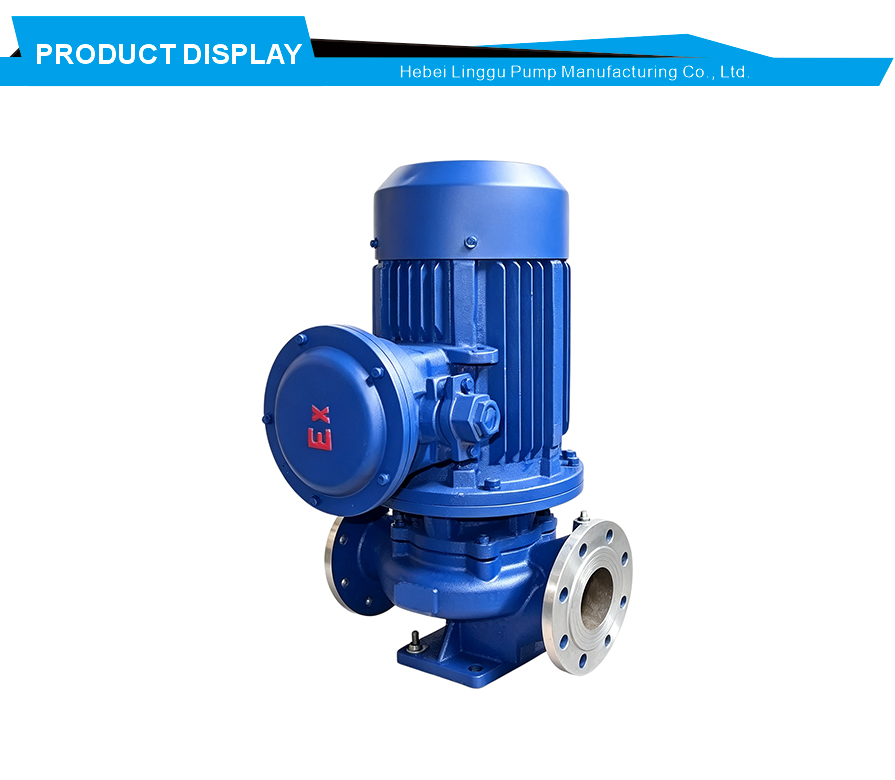 Stainless steel explosion proof fuel pump