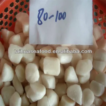 seafrozen scallops