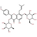 Epimedium Extract Epimedium flavona em pó