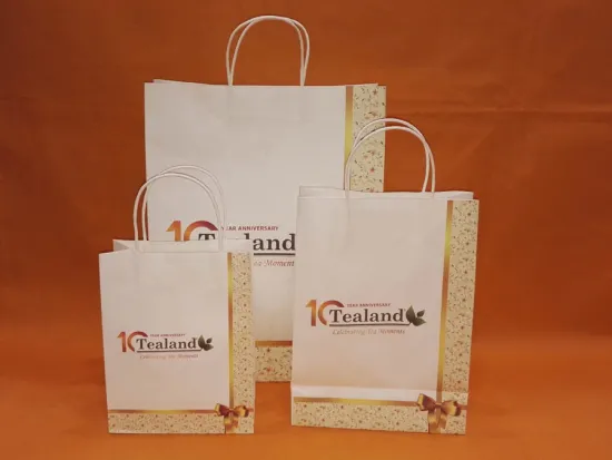 Customer print Paper shopping bag-tealand