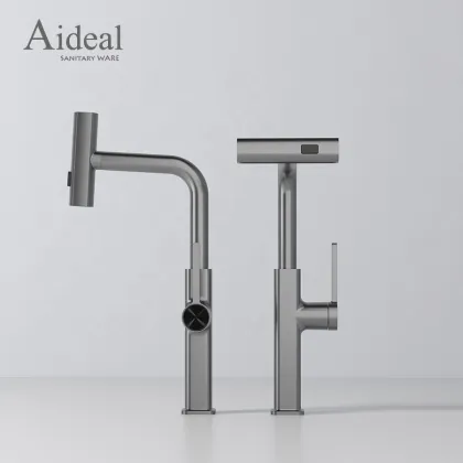 Feiyu Spray Head Faucet: 3-in-1 Commercial and Household Kitchen Tap