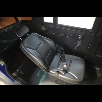 elderly electric car prices elderly electric car plans