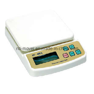 Electronic Scale ML-802