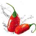 Bacche di Goji secche certificate 250 grani