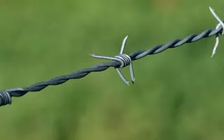 Barbed Wire