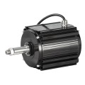 Synchronous Motor Rare Earth Permanent Magnet Motor