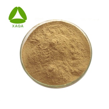 Salvia Miltiorrhiza Root Extract Salvianolic Acid B Powder