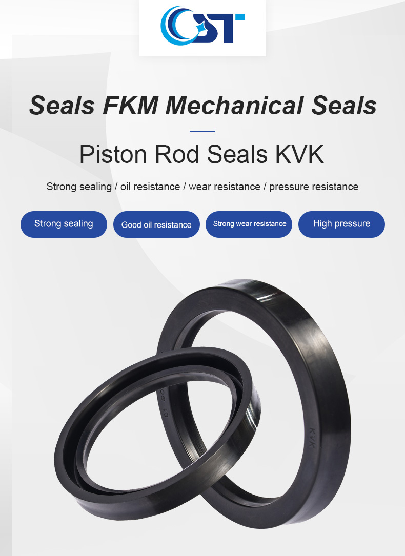 C1 Piston Rod Seal Fkm