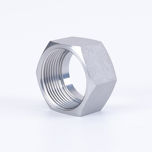 Hexagon Reducer Bushing Pipe Fitting Nut pipe fittings metric Supplier