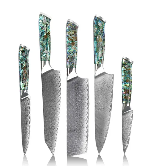 5-Piece Damascus Steel Kitchen Knife Set with 67-Layer Japanese VG10 Steel and Real Deep-Sea Abalone Shell Handle