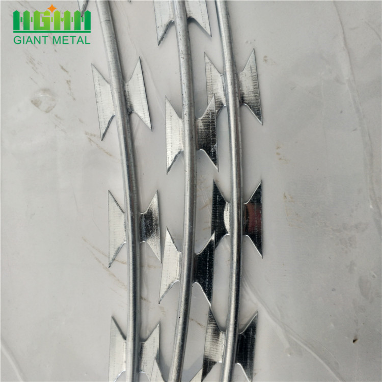 Factory Sale Galvanized Razor Wire on Fence Top