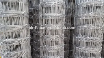 High tensile strength Steel wire plain weave field fence for Pastures