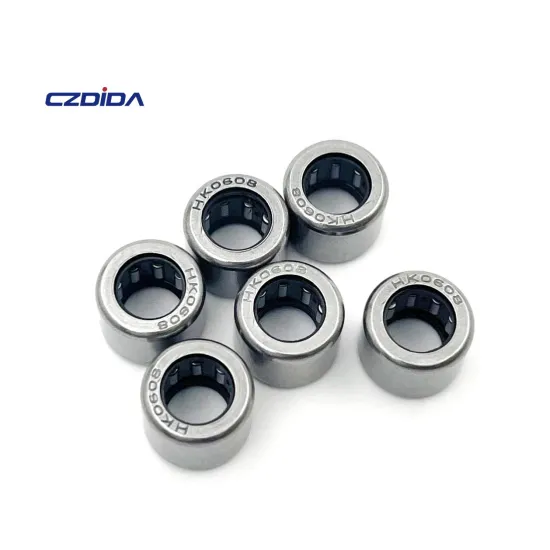 6x10x8mm HK Series Drawn Cup Needle Roller Bearing HK0608-2RS with Two Sealing Rings