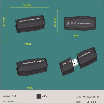 Unique gifts for vip siblings guests usb flash coffin usb stick for Bogey day