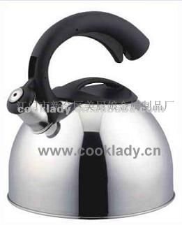 metal water kettle CL4071