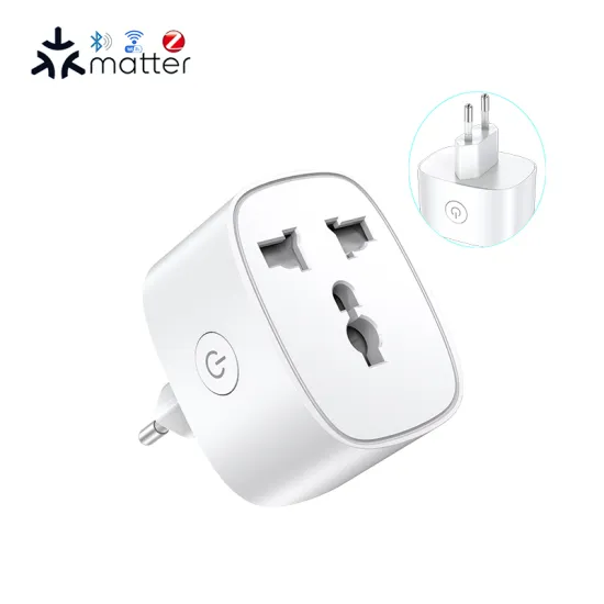 Smart Plug BSD61 EU: WiFi Mesh Support, 20A/16A, Compatible with Any Smart Home Solution and Custom Auto Switches