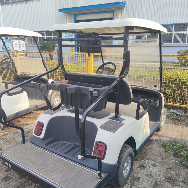 2-seater lead-acid electric car